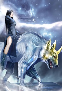 沈清辞洛衡虑名